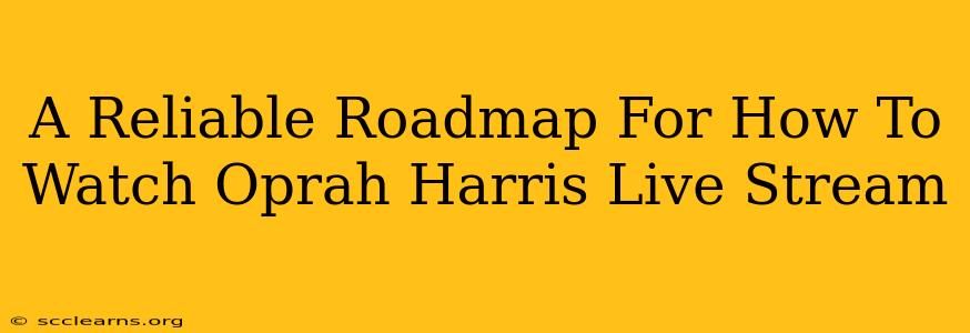 A Reliable Roadmap For How To Watch Oprah Harris Live Stream