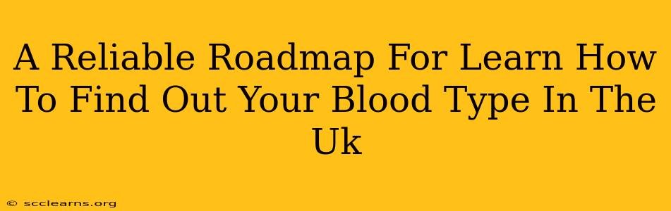 A Reliable Roadmap For Learn How To Find Out Your Blood Type In The Uk