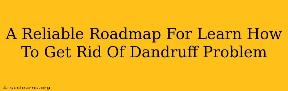 A Reliable Roadmap For Learn How To Get Rid Of Dandruff Problem