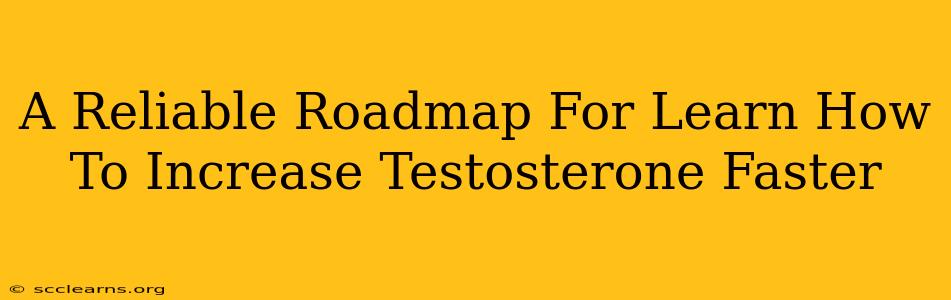 A Reliable Roadmap For Learn How To Increase Testosterone Faster