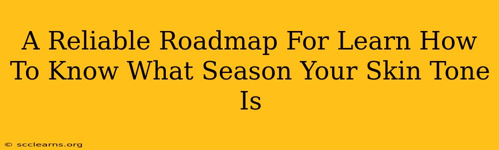 A Reliable Roadmap For Learn How To Know What Season Your Skin Tone Is