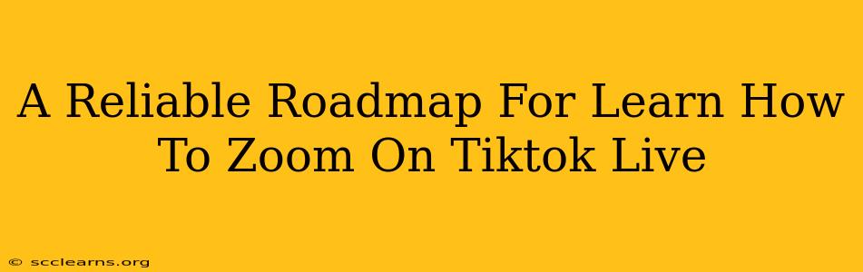 A Reliable Roadmap For Learn How To Zoom On Tiktok Live