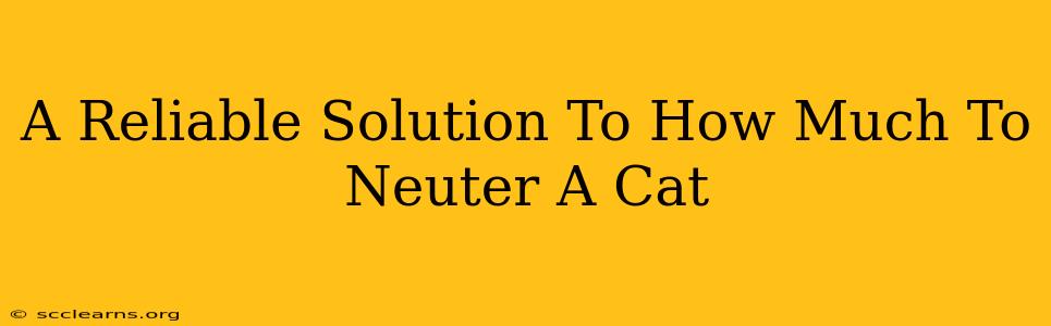 A Reliable Solution To How Much To Neuter A Cat