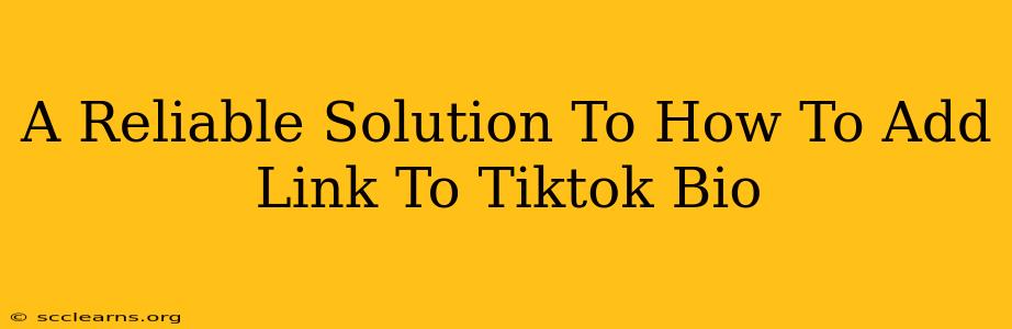 A Reliable Solution To How To Add Link To Tiktok Bio