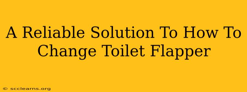 A Reliable Solution To How To Change Toilet Flapper