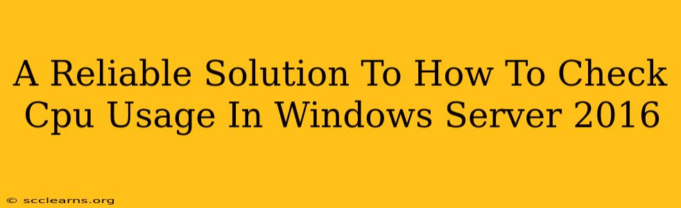 A Reliable Solution To How To Check Cpu Usage In Windows Server 2016