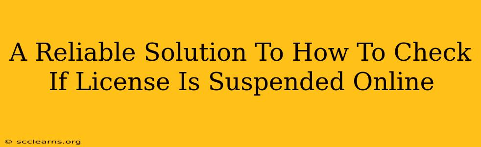 A Reliable Solution To How To Check If License Is Suspended Online