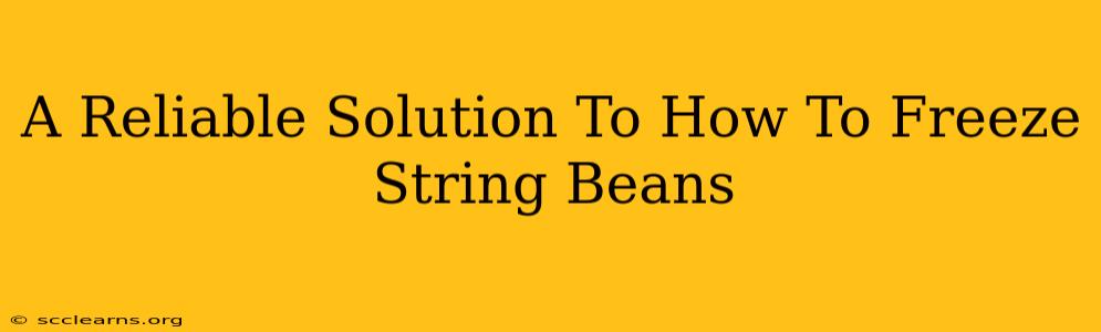 A Reliable Solution To How To Freeze String Beans