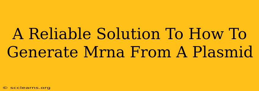 A Reliable Solution To How To Generate Mrna From A Plasmid