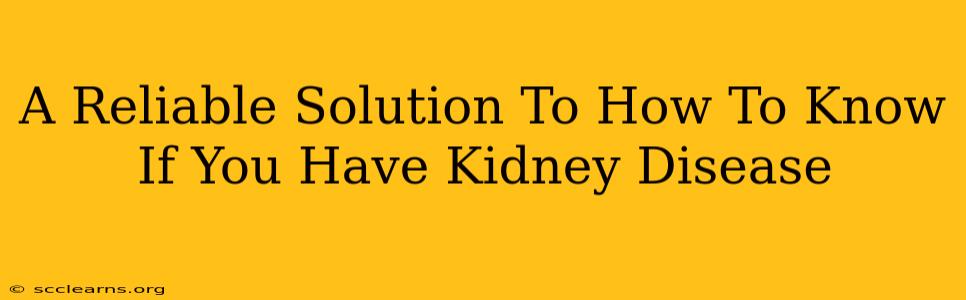 A Reliable Solution To How To Know If You Have Kidney Disease