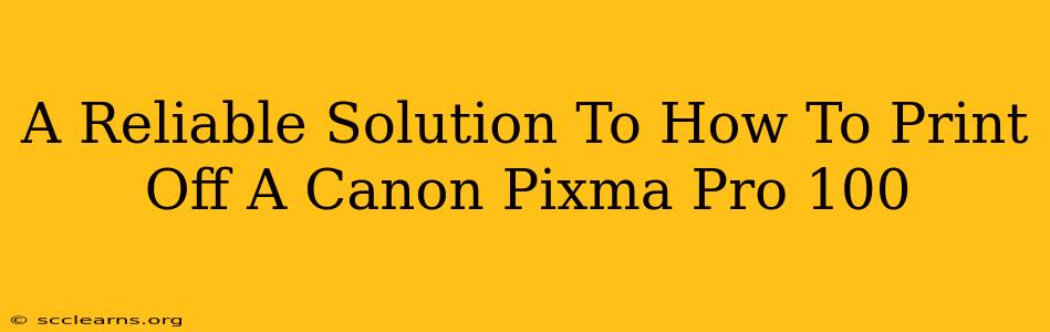 A Reliable Solution To How To Print Off A Canon Pixma Pro 100