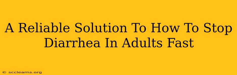 A Reliable Solution To How To Stop Diarrhea In Adults Fast