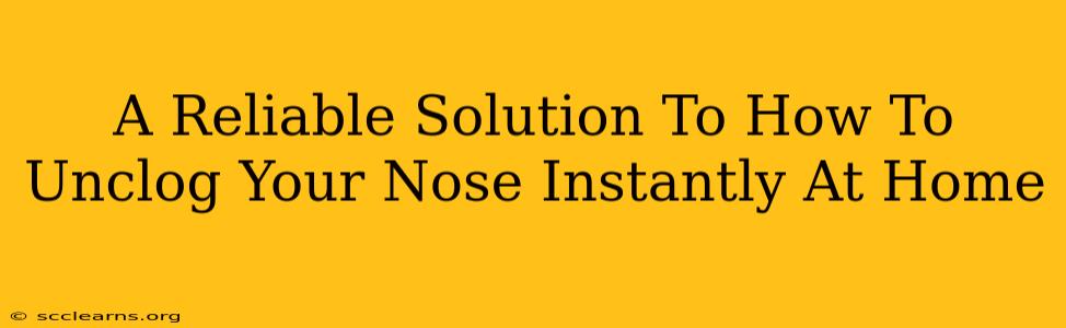 A Reliable Solution To How To Unclog Your Nose Instantly At Home