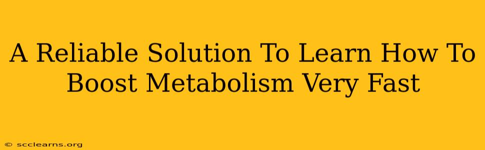 A Reliable Solution To Learn How To Boost Metabolism Very Fast