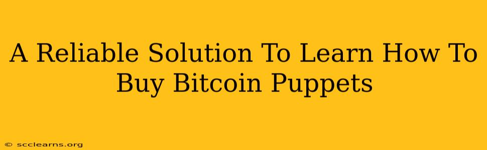 A Reliable Solution To Learn How To Buy Bitcoin Puppets