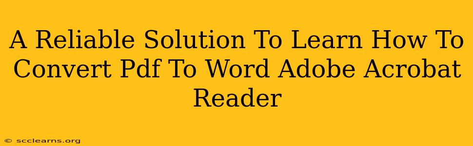 A Reliable Solution To Learn How To Convert Pdf To Word Adobe Acrobat Reader