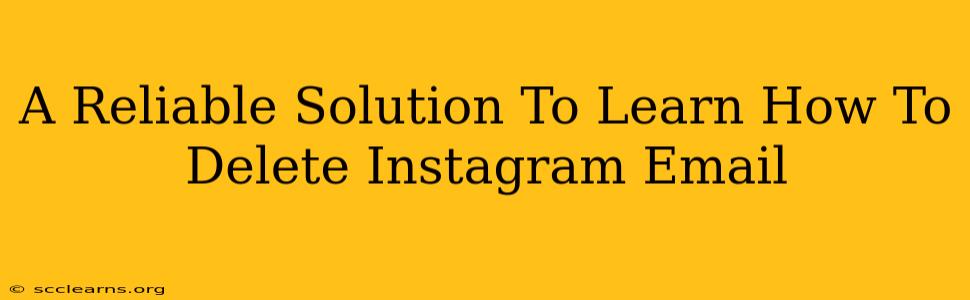 A Reliable Solution To Learn How To Delete Instagram Email