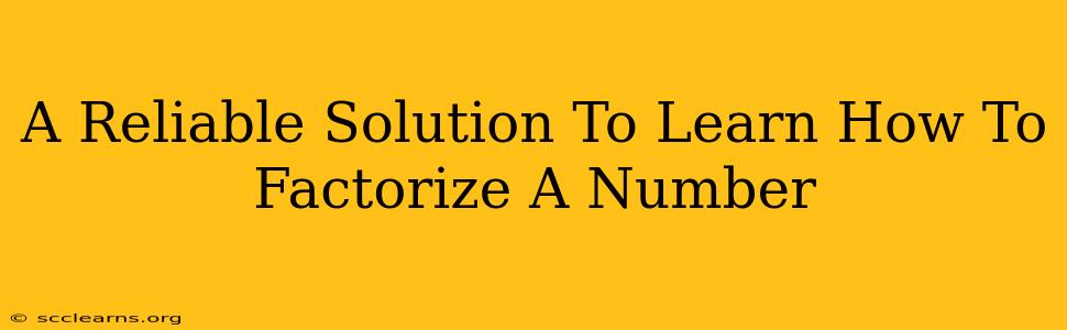 A Reliable Solution To Learn How To Factorize A Number