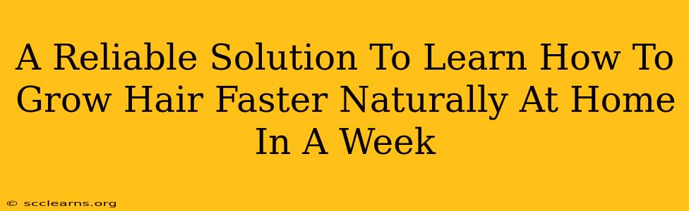 A Reliable Solution To Learn How To Grow Hair Faster Naturally At Home In A Week