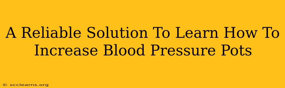 A Reliable Solution To Learn How To Increase Blood Pressure Pots