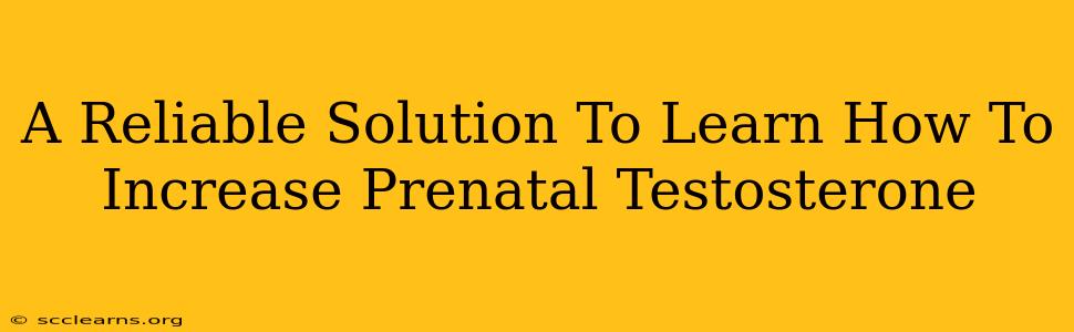 A Reliable Solution To Learn How To Increase Prenatal Testosterone