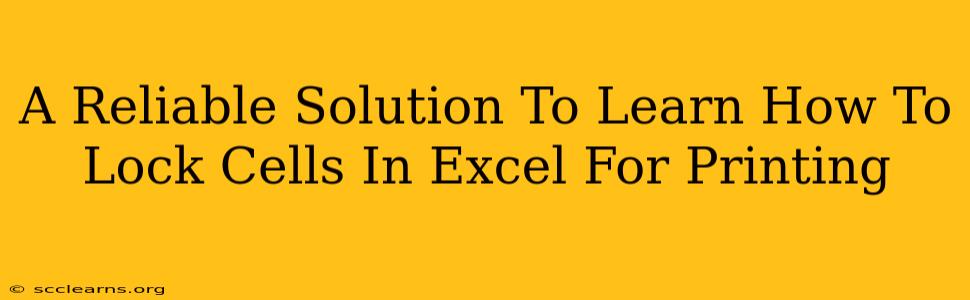 A Reliable Solution To Learn How To Lock Cells In Excel For Printing