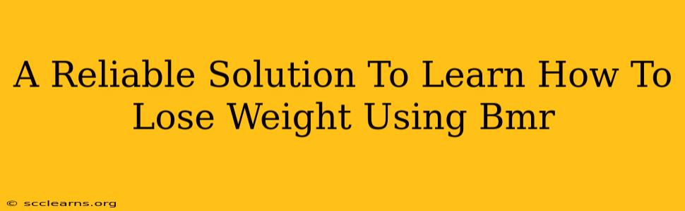 A Reliable Solution To Learn How To Lose Weight Using Bmr