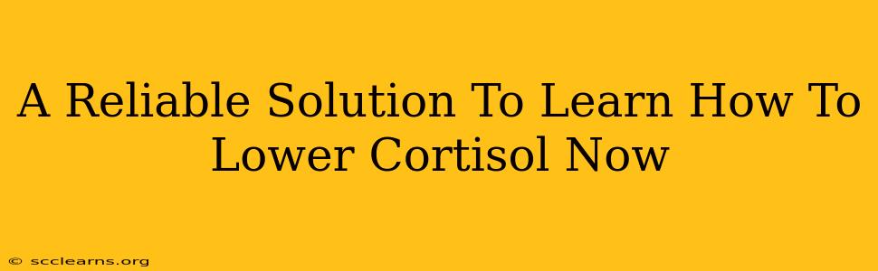 A Reliable Solution To Learn How To Lower Cortisol Now