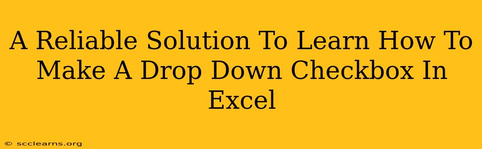 A Reliable Solution To Learn How To Make A Drop Down Checkbox In Excel