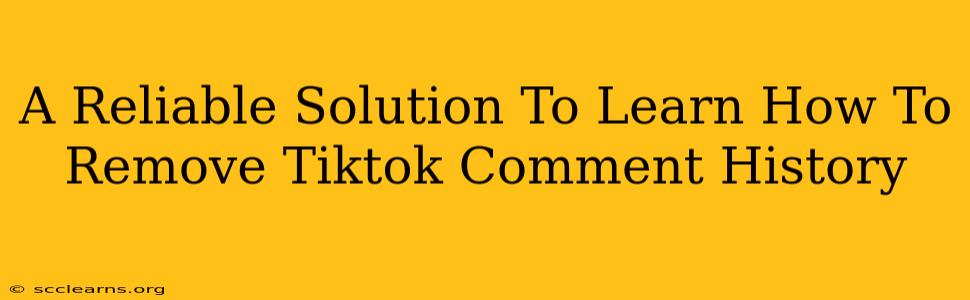 A Reliable Solution To Learn How To Remove Tiktok Comment History