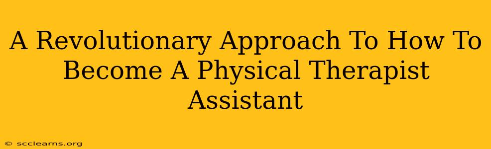 A Revolutionary Approach To How To Become A Physical Therapist Assistant