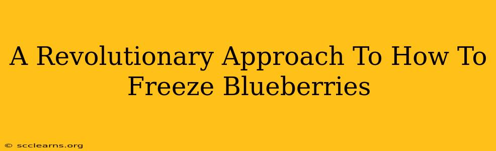 A Revolutionary Approach To How To Freeze Blueberries