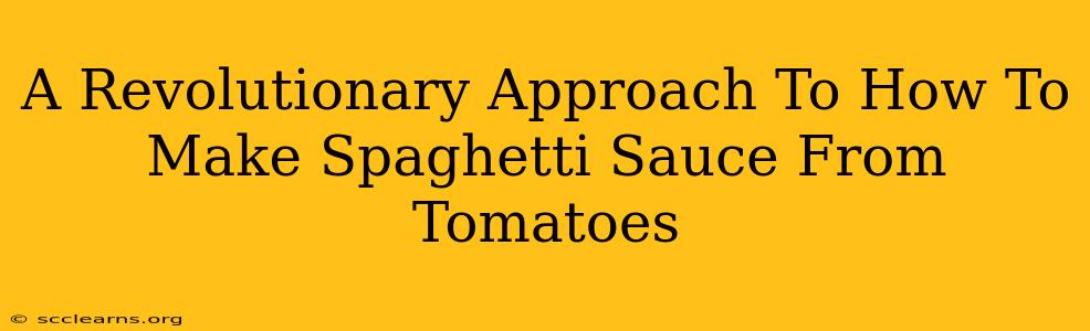 A Revolutionary Approach To How To Make Spaghetti Sauce From Tomatoes