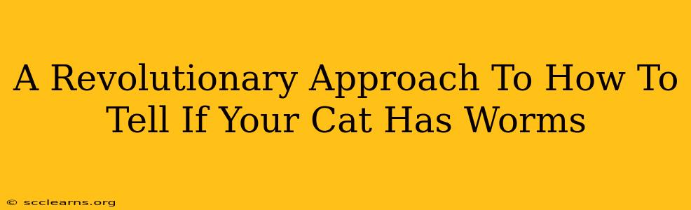 A Revolutionary Approach To How To Tell If Your Cat Has Worms