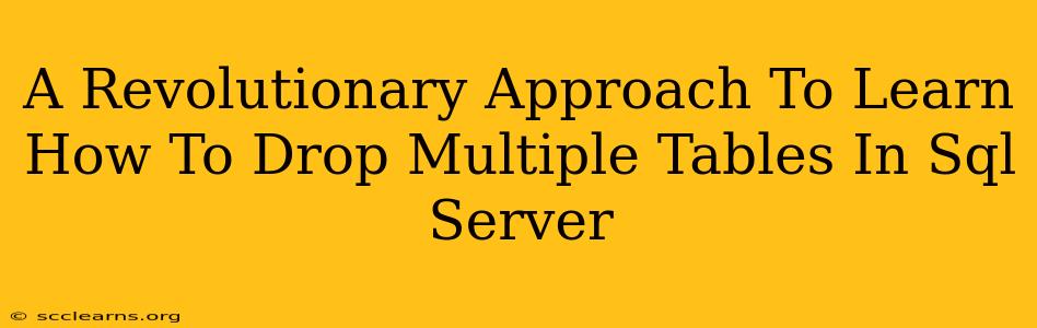 A Revolutionary Approach To Learn How To Drop Multiple Tables In Sql Server