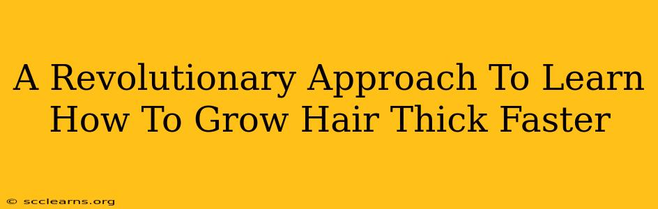 A Revolutionary Approach To Learn How To Grow Hair Thick Faster