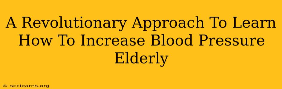 A Revolutionary Approach To Learn How To Increase Blood Pressure Elderly