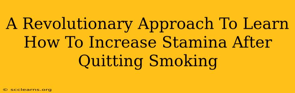 A Revolutionary Approach To Learn How To Increase Stamina After Quitting Smoking