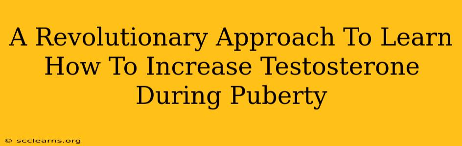 A Revolutionary Approach To Learn How To Increase Testosterone During Puberty