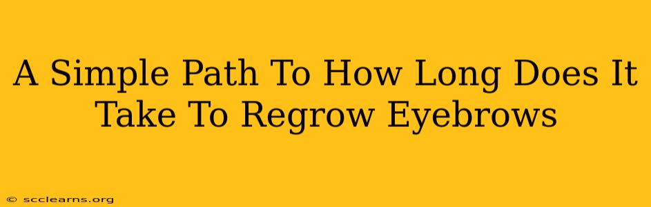 A Simple Path To How Long Does It Take To Regrow Eyebrows