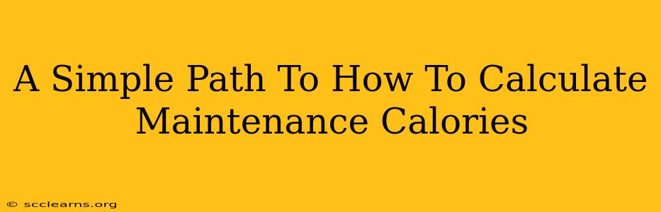 A Simple Path To How To Calculate Maintenance Calories