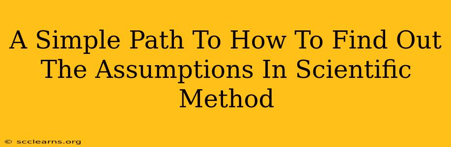 A Simple Path To How To Find Out The Assumptions In Scientific Method