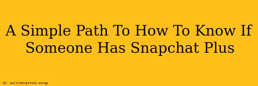 A Simple Path To How To Know If Someone Has Snapchat Plus