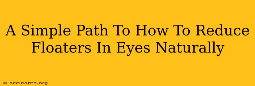 A Simple Path To How To Reduce Floaters In Eyes Naturally