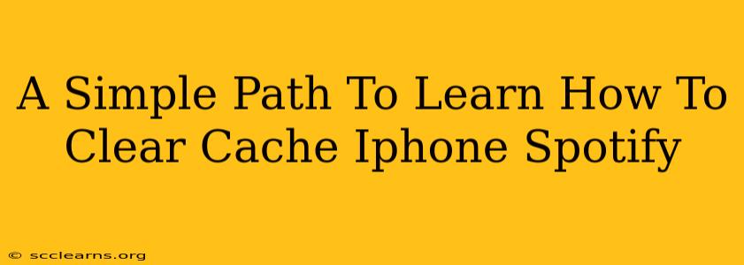 A Simple Path To Learn How To Clear Cache Iphone Spotify