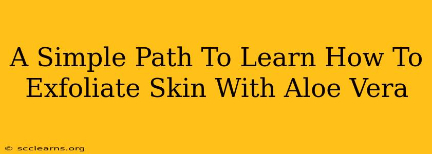 A Simple Path To Learn How To Exfoliate Skin With Aloe Vera