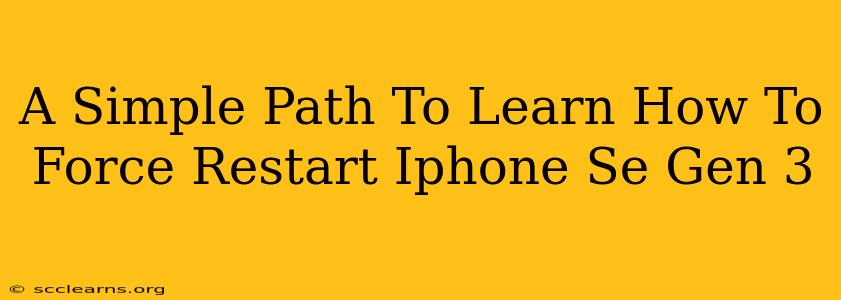 A Simple Path To Learn How To Force Restart Iphone Se Gen 3