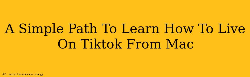 A Simple Path To Learn How To Live On Tiktok From Mac