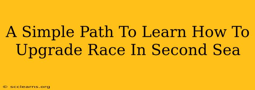 A Simple Path To Learn How To Upgrade Race In Second Sea