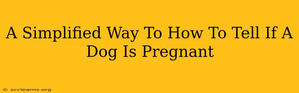 A Simplified Way To How To Tell If A Dog Is Pregnant